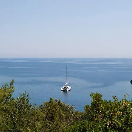 Gita * זבלטיצה