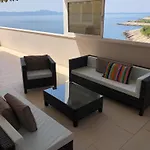 Gita * Zavalatica
