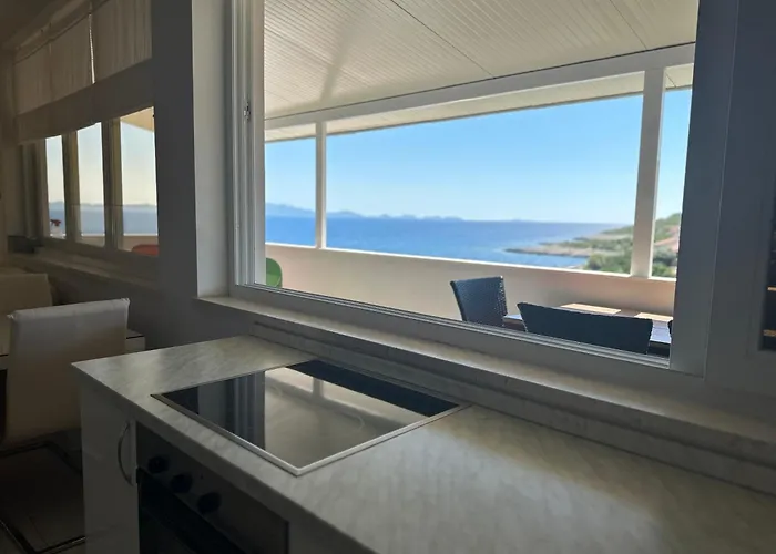 Gita * 扎瓦拉提卡