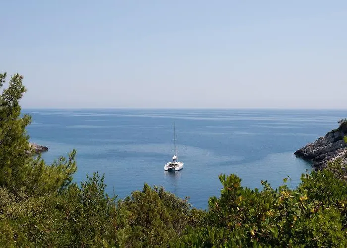 Gita * 扎瓦拉提卡